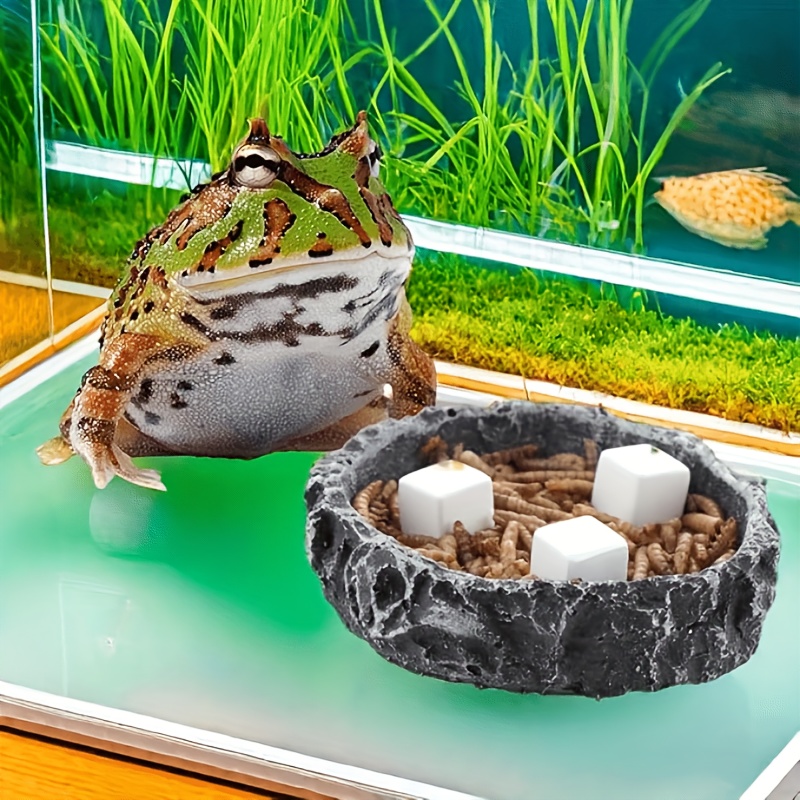 6Pcs For Reptile Grinding Tort - Calcium Powder Reptile บทวิจารณ์และราคา