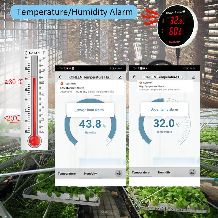Tuya WIFI Temperature Humidity - Digital Hygrometer Probe บทวิจารณ์และราคา
