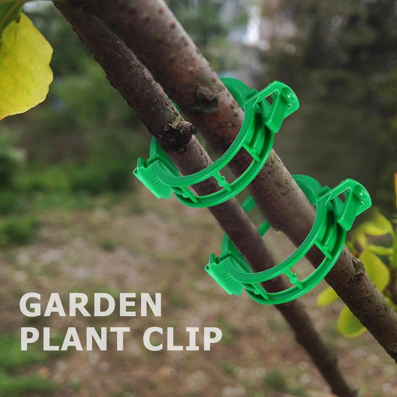 Reusable Plastic Plant Support - Vine Climbing Plastic บทวิจารณ์และราคา