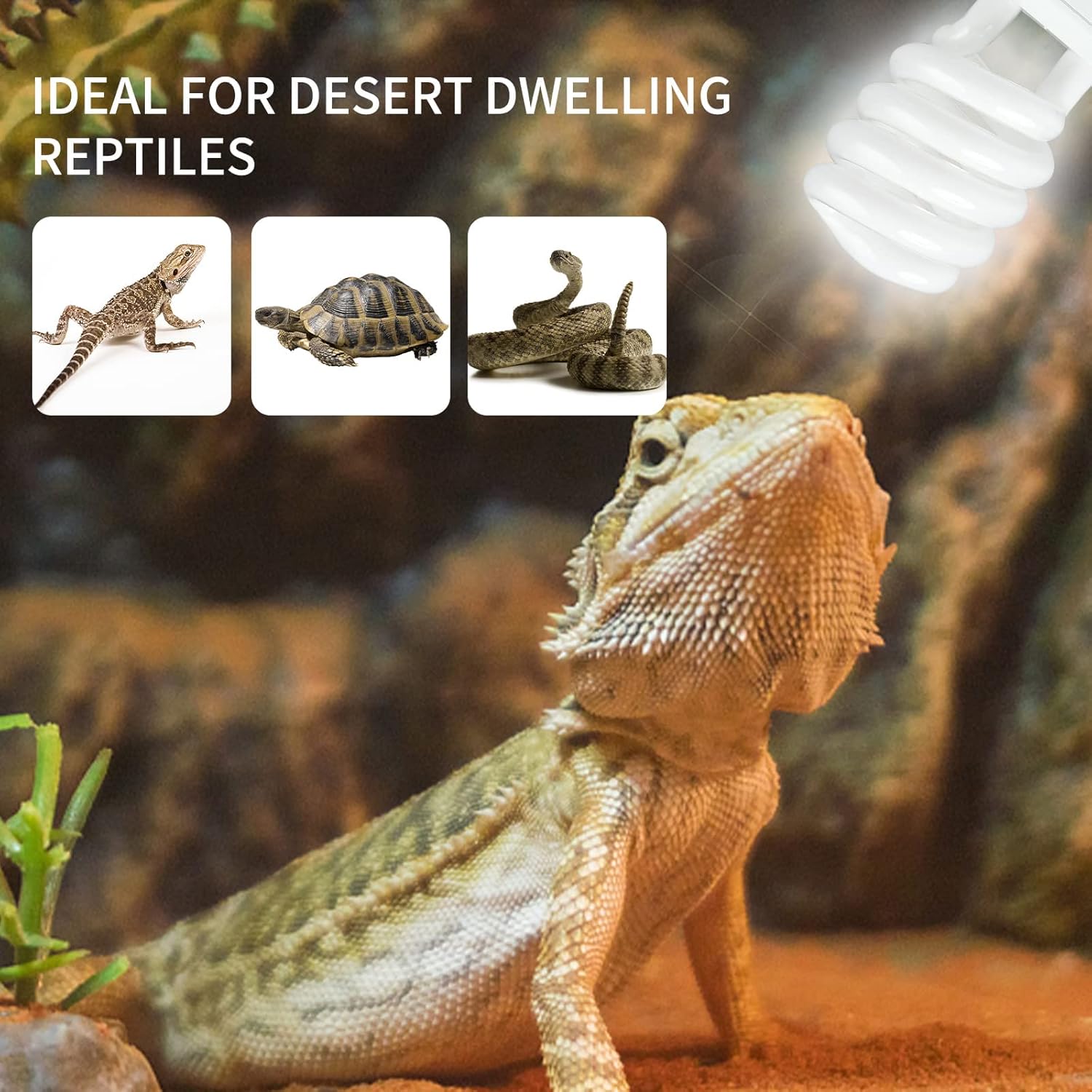 UVB 5.0 10.0 Reptile Heating L - Calcium Powder Reptile บทวิจารณ์และราคา