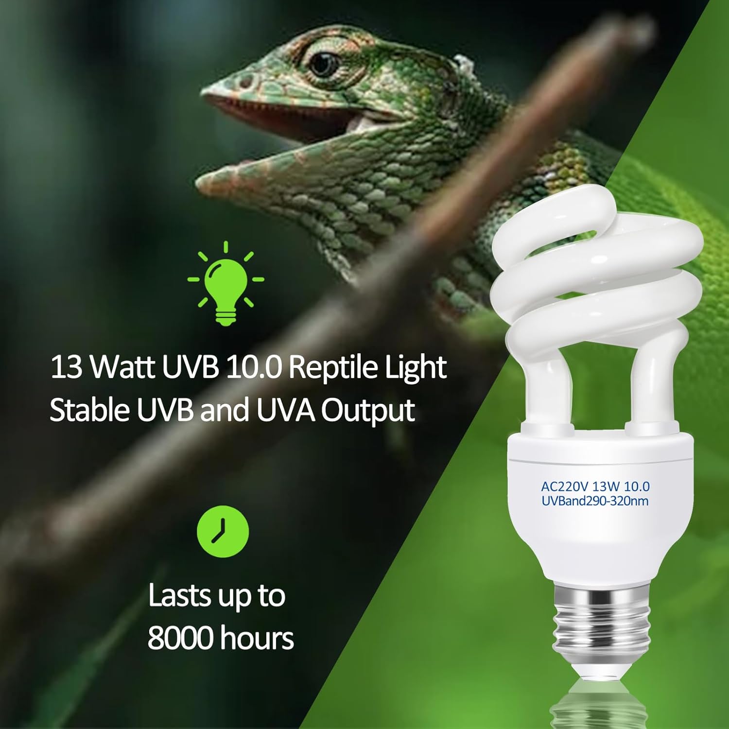 UVB 5.0 10.0 Reptile Heating L - Calcium Powder Reptile บทวิจารณ์และราคา
