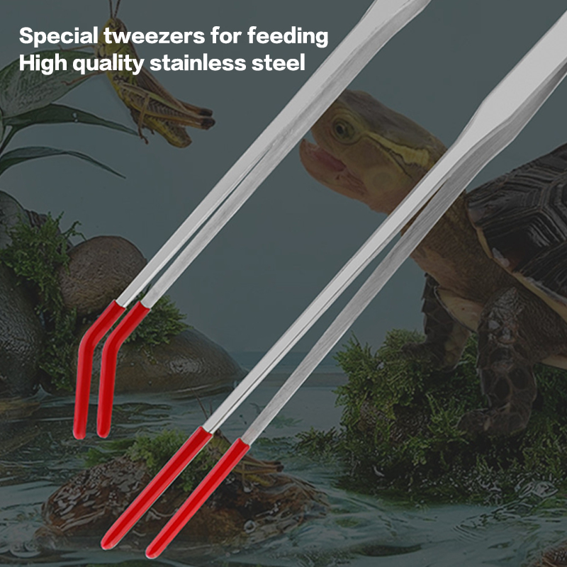 Expert Aquarium Tools: Stainle - Feeding Tong Stainless บทวิจารณ์และราคา