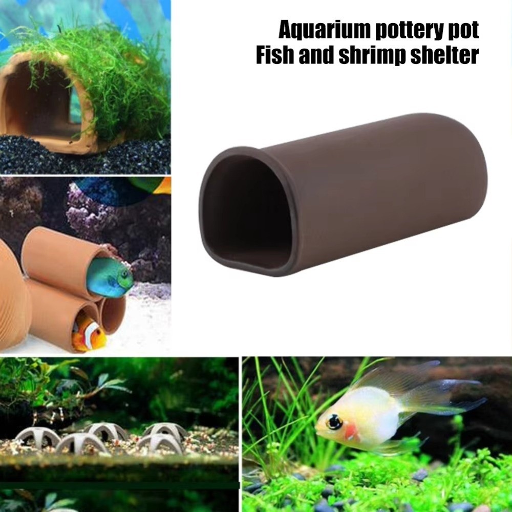 Playing Breeding Spawning Aqua - Hide Cave Ceramic บทวิจารณ์และราคา
