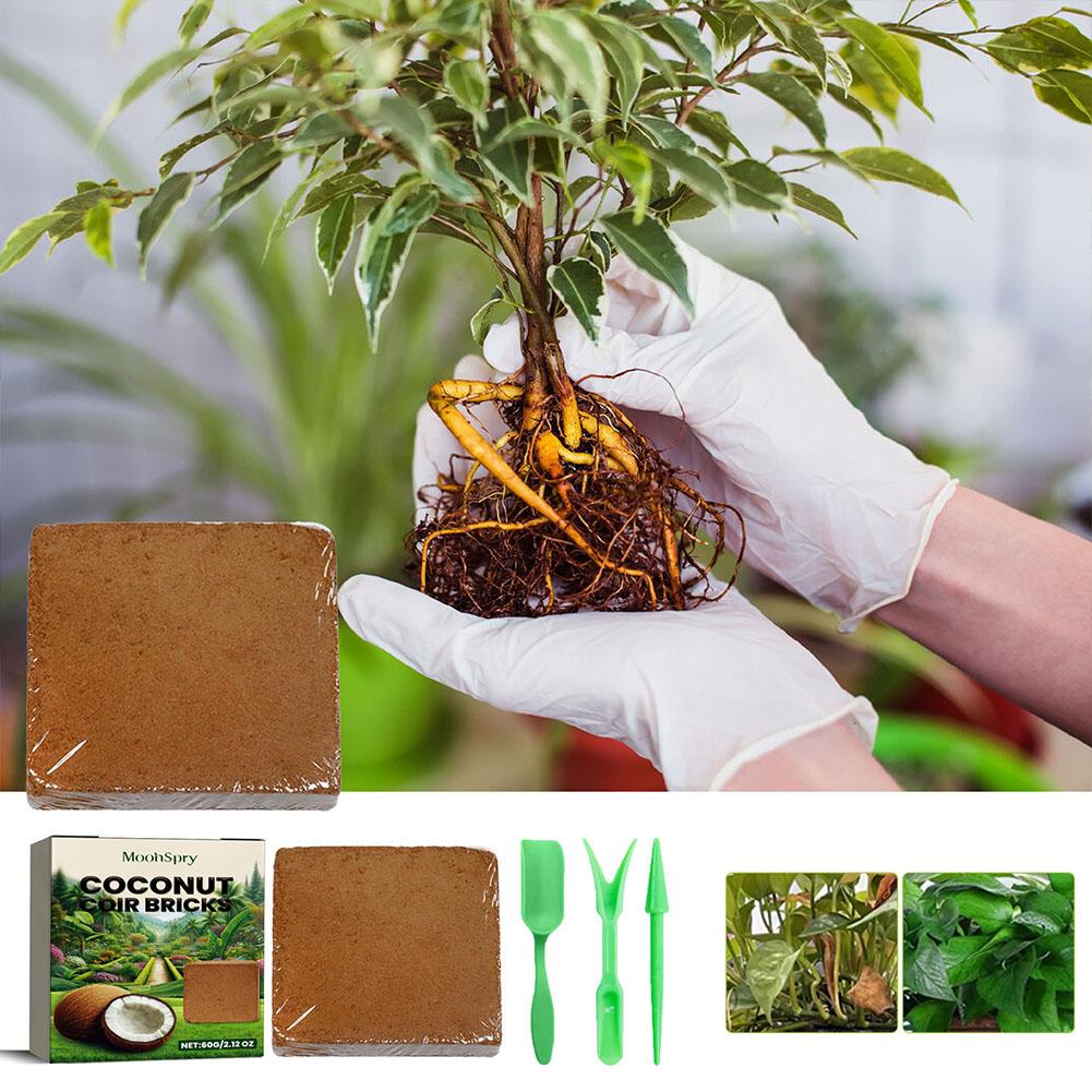 Reptile Coconut Soil Coir Pres - Substrate Coconut Fiber บทวิจารณ์และราคา