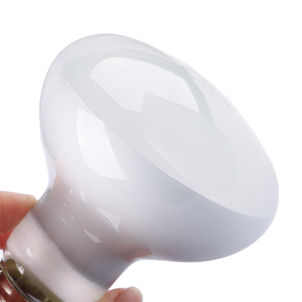 Lizard Heater Temperature Cont - Basking Bulb Halogen บทวิจารณ์และราคา
