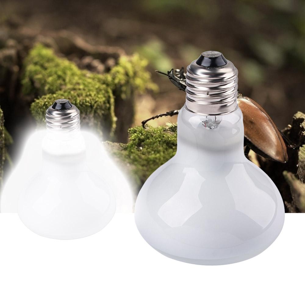 Lizard Temperature Controller  - Basking Bulb Halogen บทวิจารณ์และราคา