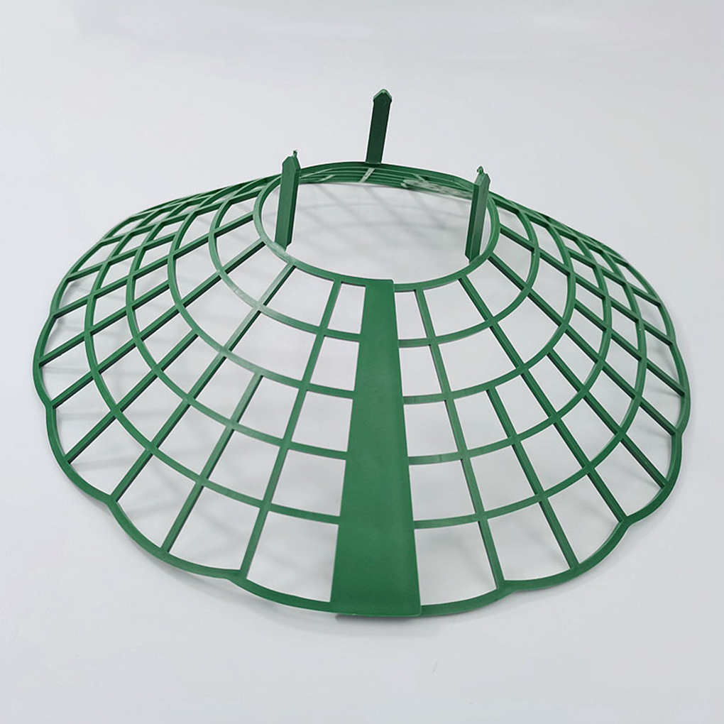 20PCS Strawberry Stand Green C - Vine Climbing Plastic บทวิจารณ์และราคา