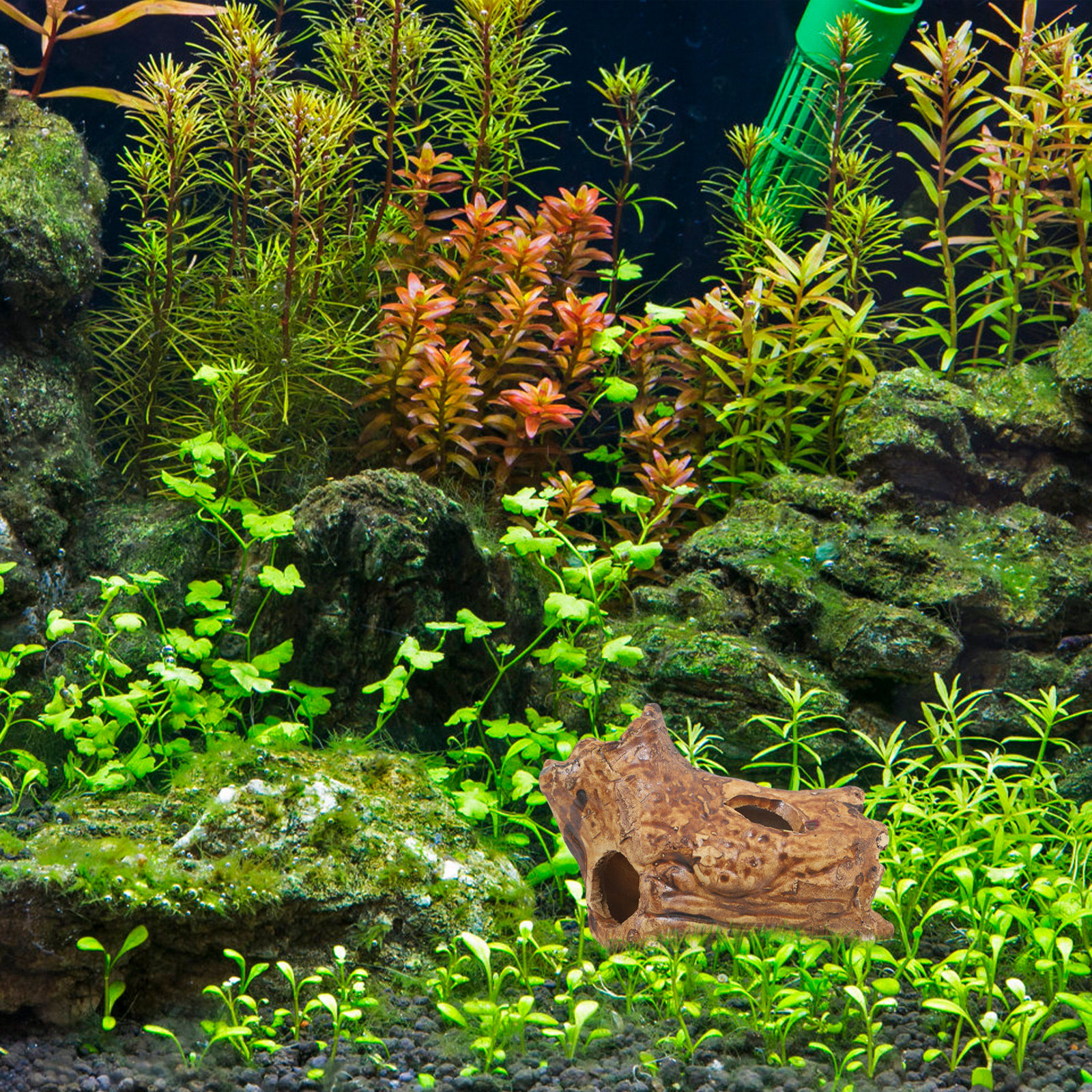 Ceramic Pleco Caves for Aquari - Hide Cave Ceramic บทวิจารณ์และราคา