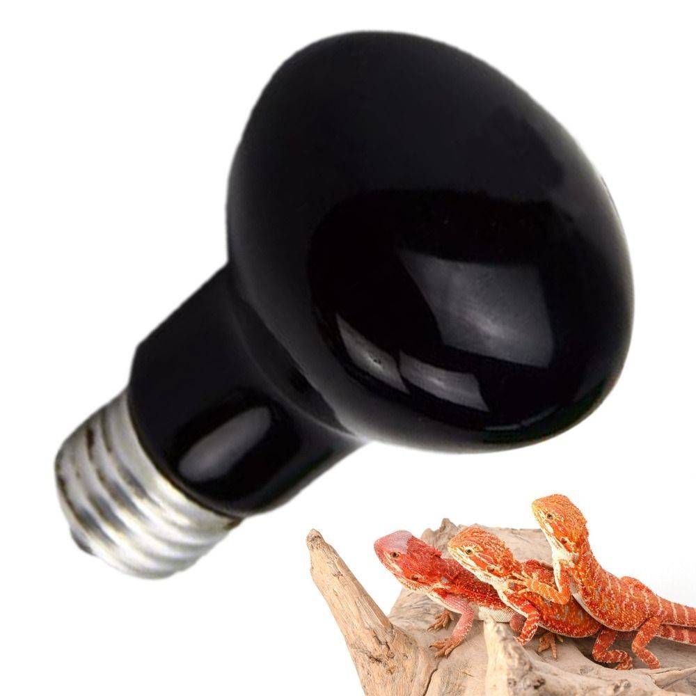 Infrared Led Pet Heating Lamp  - Ceramic Heat Emitter บทวิจารณ์และราคา