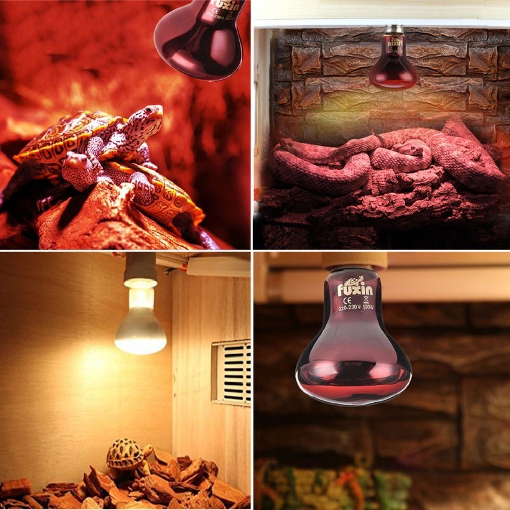 Infrared Led Pet Heating Lamp  - Ceramic Heat Emitter บทวิจารณ์และราคา