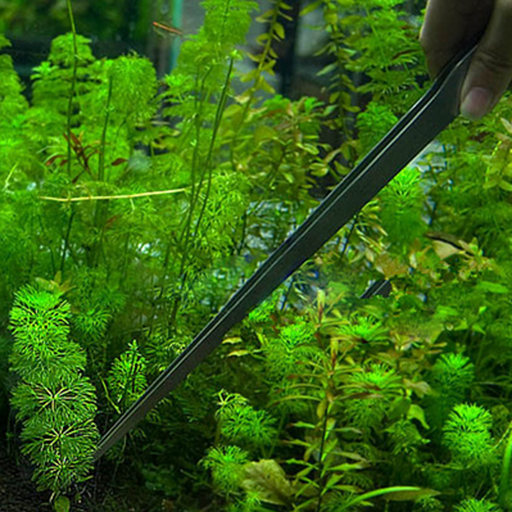 10.5 Inch Reptile Feeding Tong - Feeding Tong Stainless บทวิจารณ์และราคา