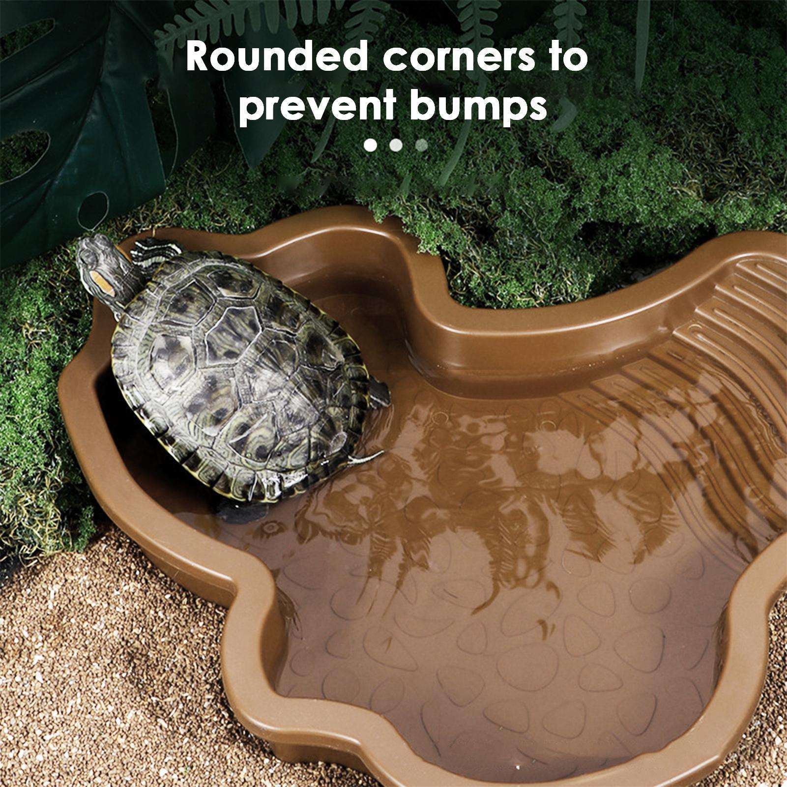 Reptile Bathing Pool with Ramp - Water Dish Reptile บทวิจารณ์และราคา