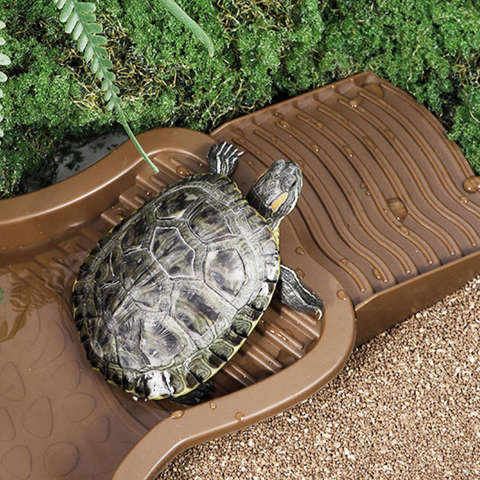 Reptile Bathing Pool with Ramp - Water Dish Reptile บทวิจารณ์และราคา