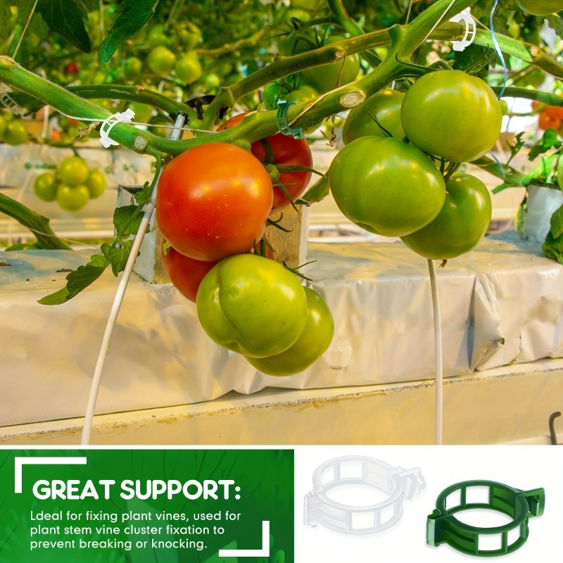 10-500Pcs Garden Plant Support - Vine Climbing Plastic บทวิจารณ์และราคา