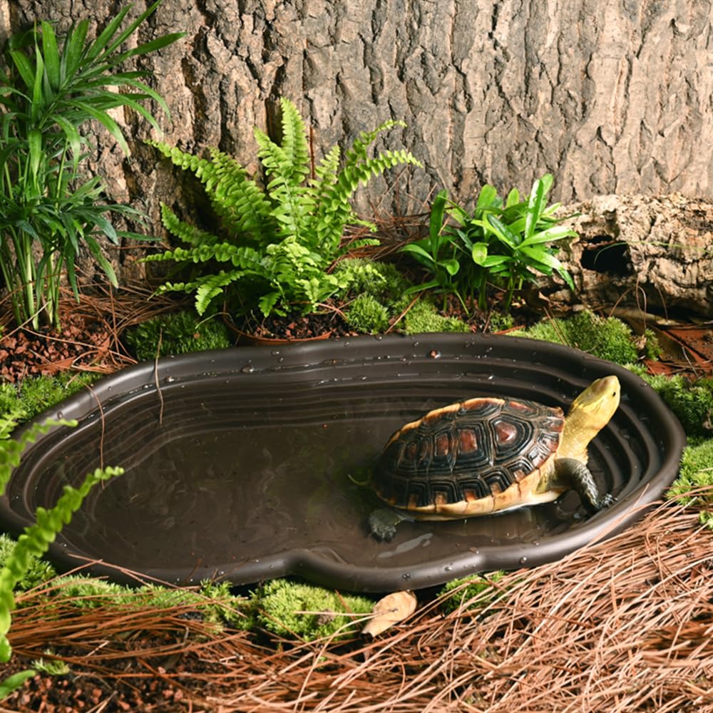 Reptile Bathing Dish Amphibian - Water Dish Reptile บทวิจารณ์และราคา