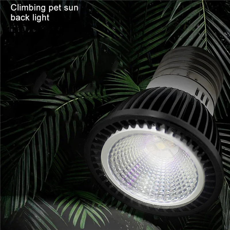 A03F-5X 110V Reptile UVB Light - Calcium Powder Reptile บทวิจารณ์และราคา