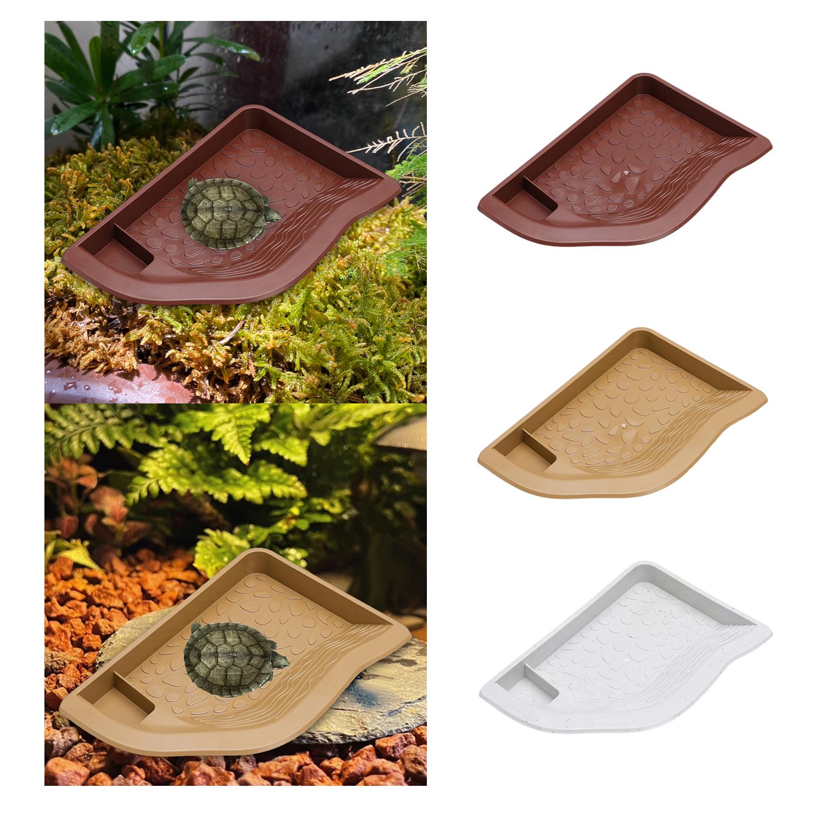 Reptile Pool Water Dish, Torto - Water Dish Reptile บทวิจารณ์และราคา