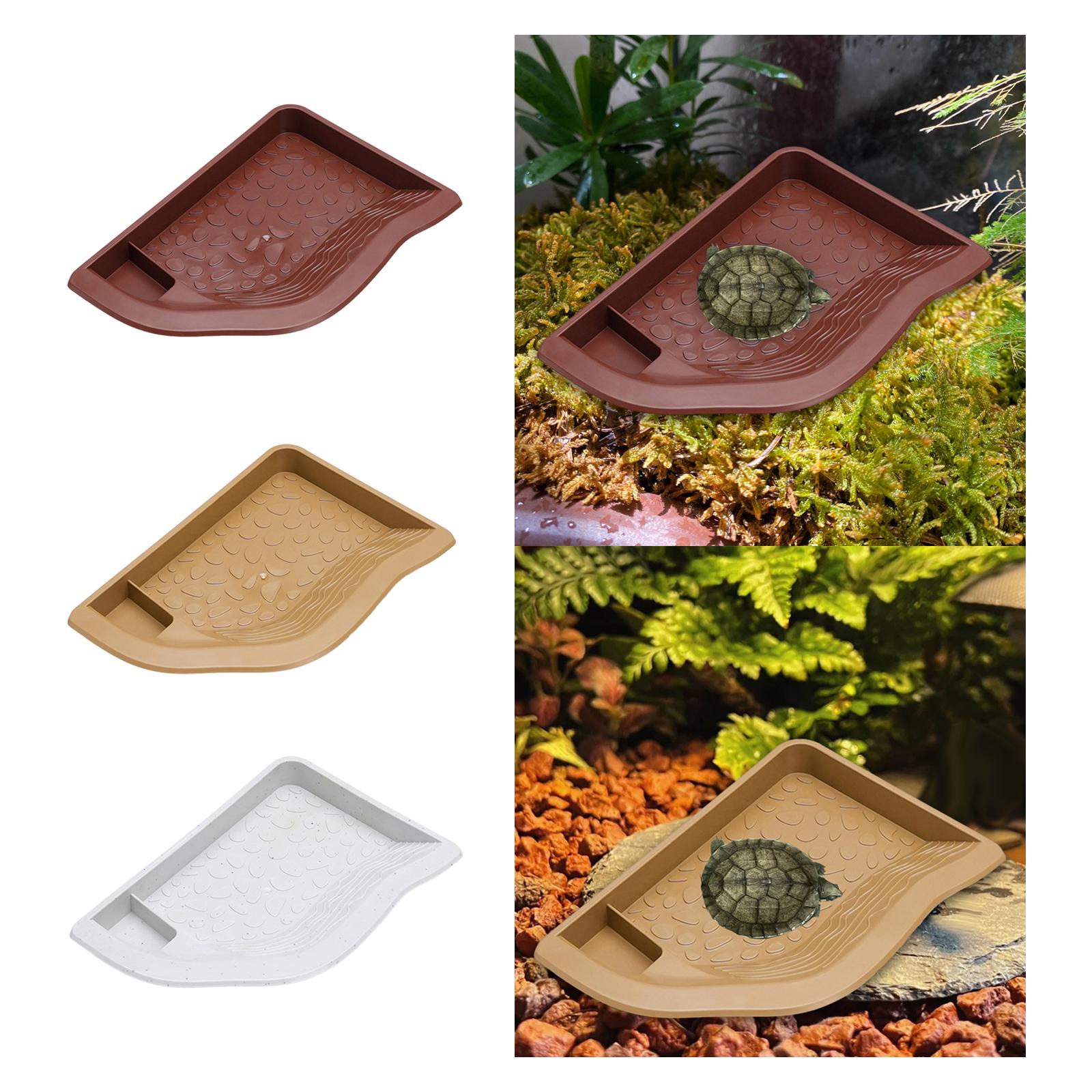 Reptile Pool Water Dish, Torto - Water Dish Reptile บทวิจารณ์และราคา
