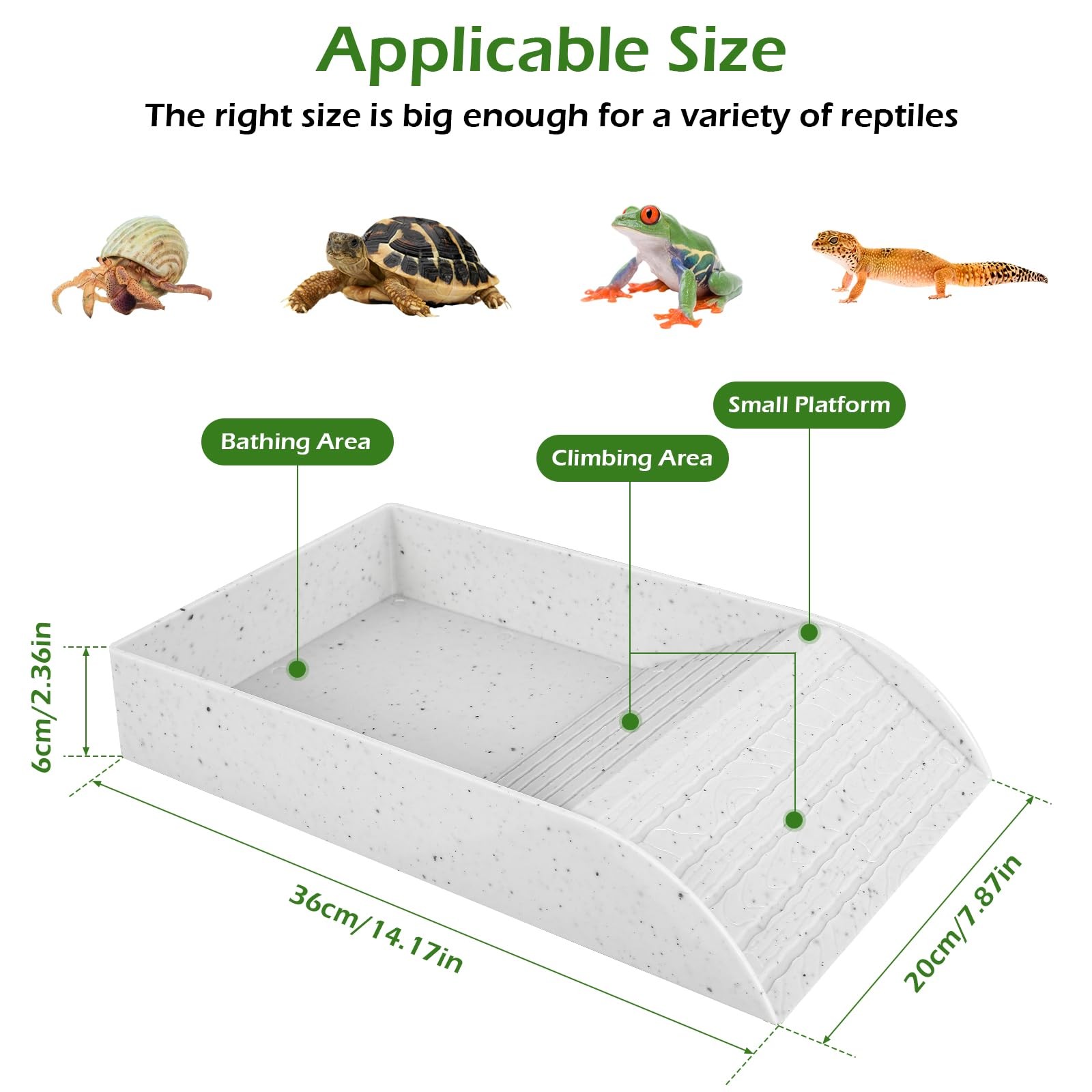 Anti Slip Tortoise Bath Dish T - Water Dish Reptile บทวิจารณ์และราคา
