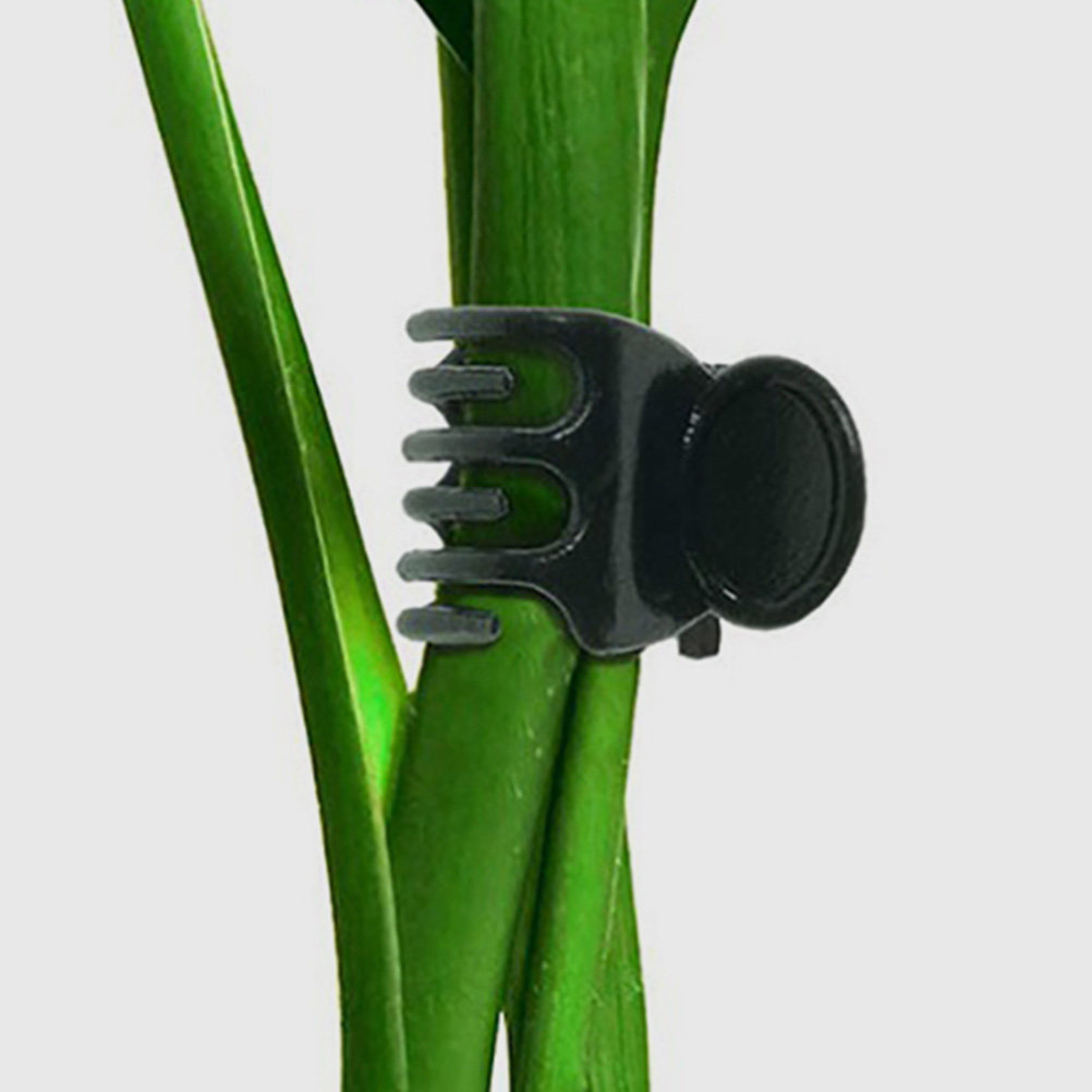 60Pcs Plant Support Clamps Pla - Vine Climbing Plastic บทวิจารณ์และราคา
