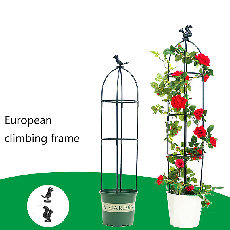 C 1Set Climbing Plant Trellis  - Vine Climbing Plastic บทวิจารณ์และราคา