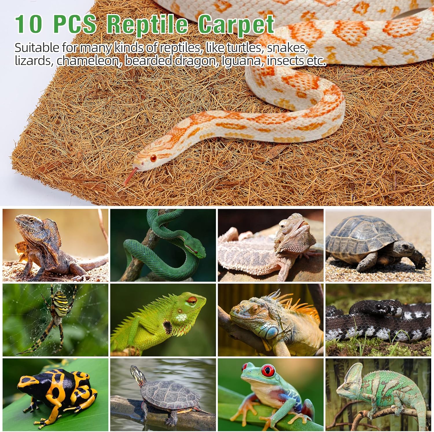 10 Pcs Reptile Carpet, 12x12 i - Substrate Coconut Fiber บทวิจารณ์และราคา