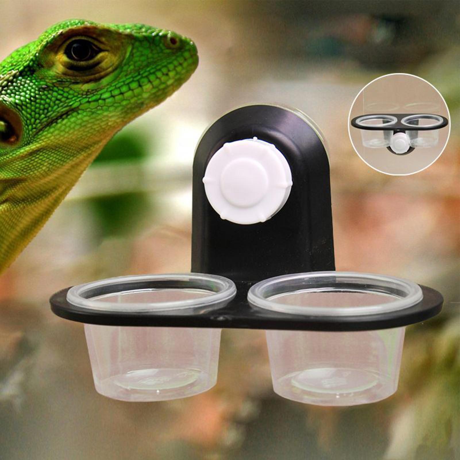 Gecko Food Dish Gecko Feeding  - Water Dish Reptile บทวิจารณ์และราคา
