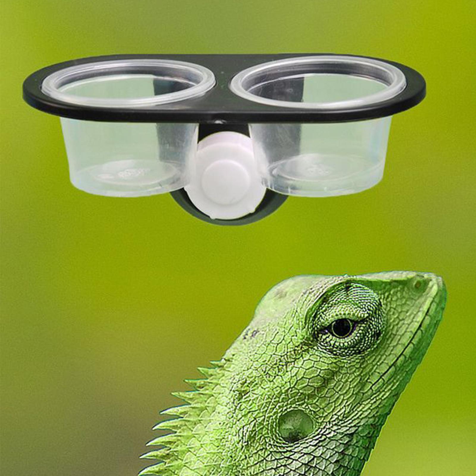 Gecko Food Dish Gecko Feeding  - Water Dish Reptile บทวิจารณ์และราคา