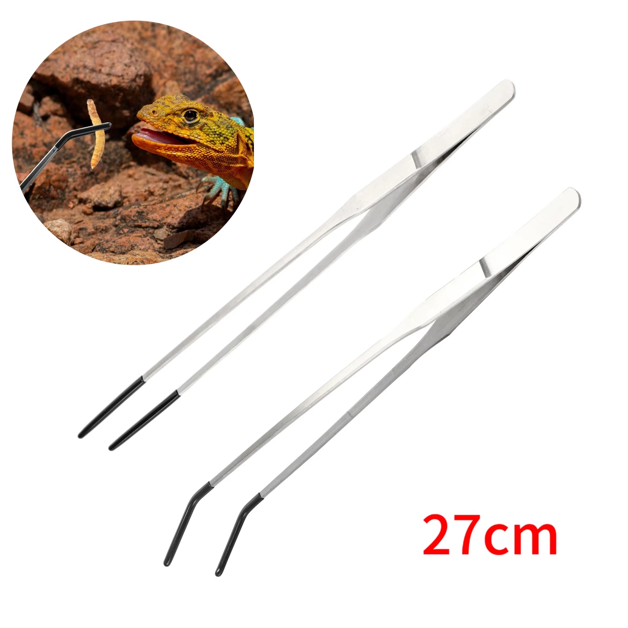 Stainless Steel Reptile Feedin - Feeding Tong Stainless บทวิจารณ์และราคา