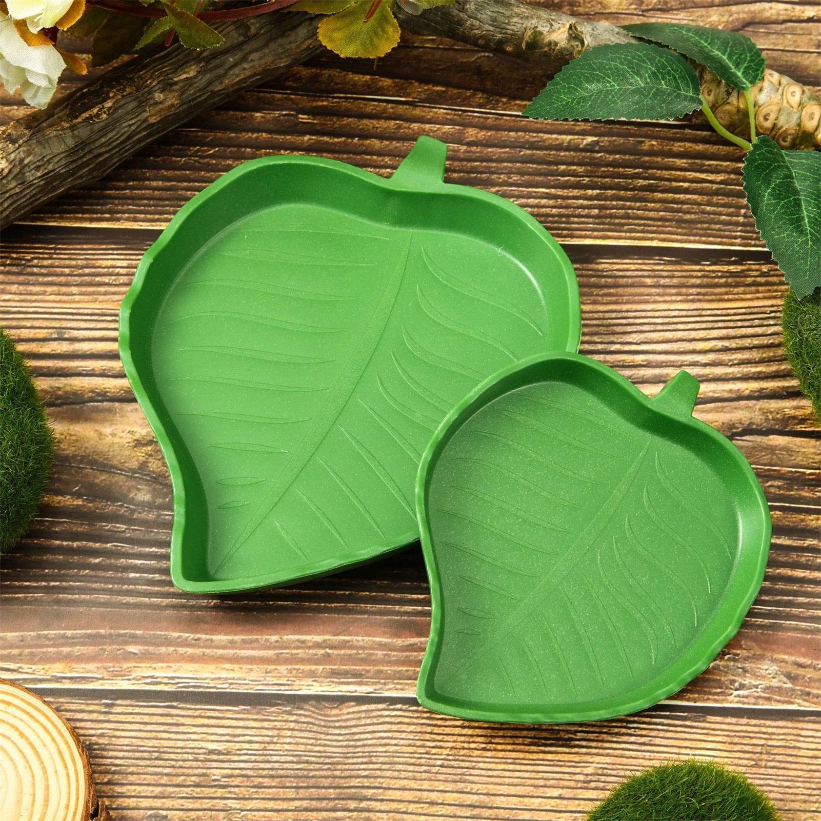 1pc Reptile Dish Flat Drinking - Water Dish Reptile บทวิจารณ์และราคา