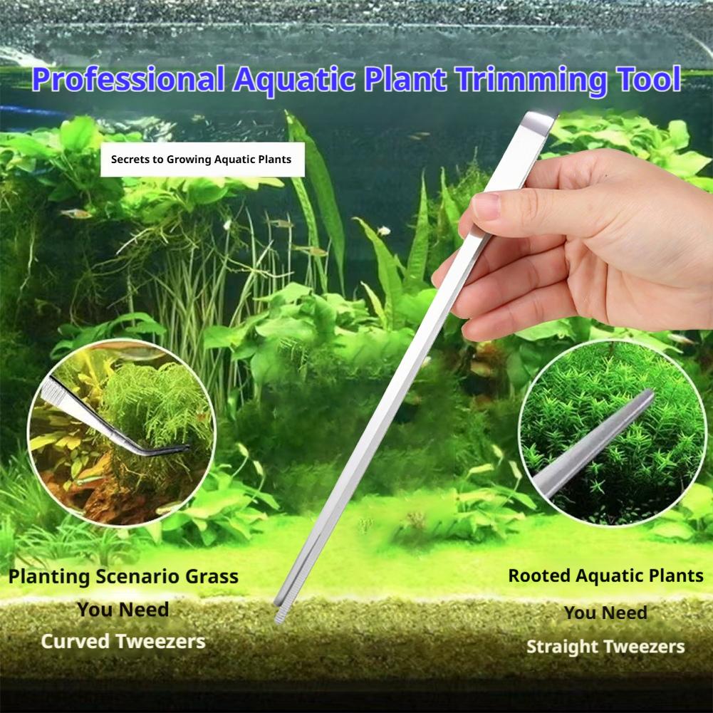 Stainless Steel Aquarium Tweez - Feeding Tong Stainless บทวิจารณ์และราคา