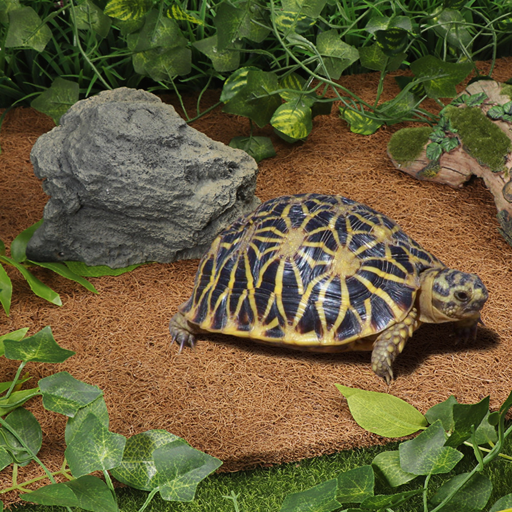Reptile Terrarium Bedding Subs - Substrate Coconut Fiber บทวิจารณ์และราคา