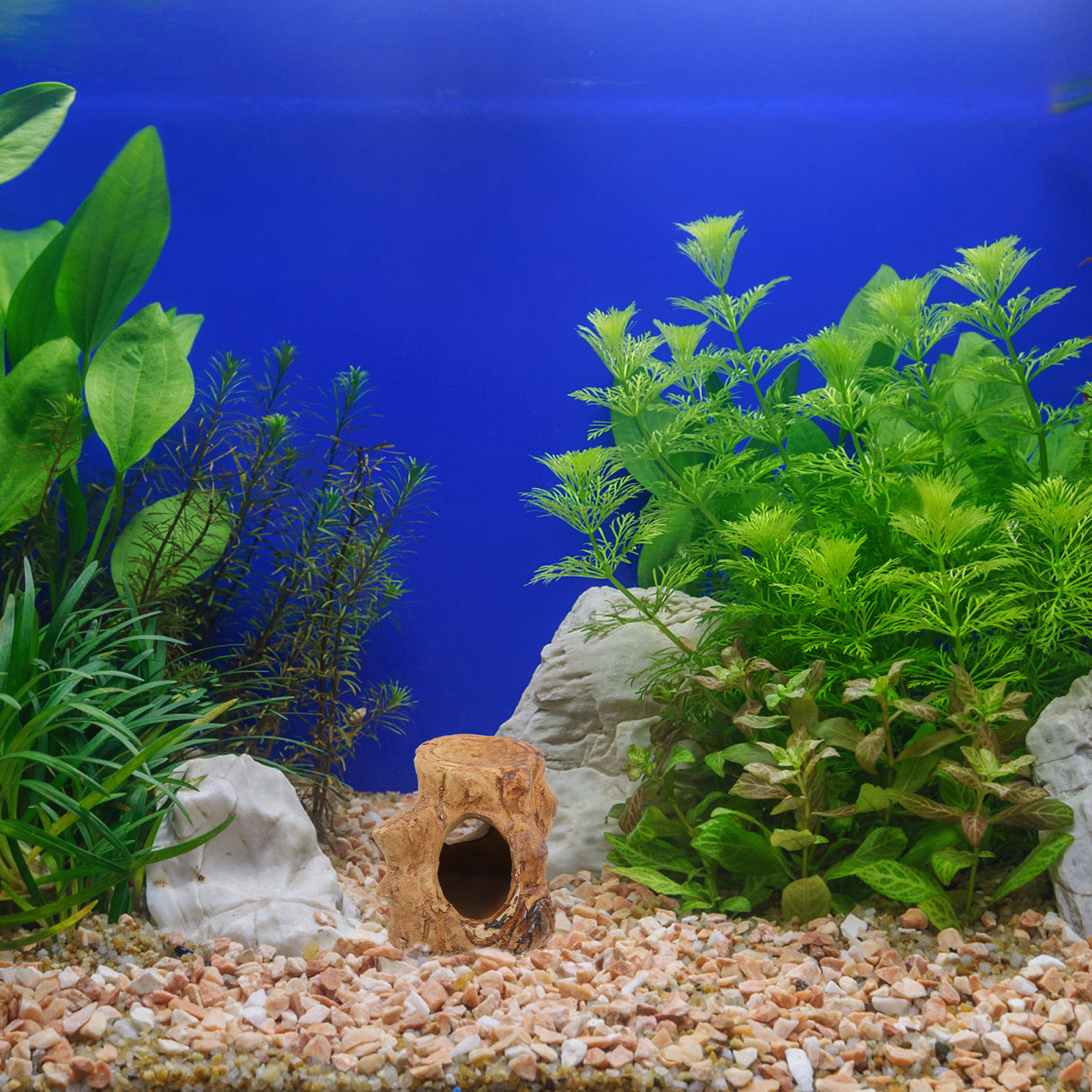 Pleco Caves Fish Tank Decorati - Hide Cave Ceramic บทวิจารณ์และราคา