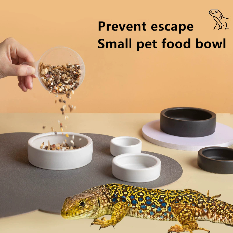HOT! Reptile Food Bowl Anti-Es - Water Dish Reptile บทวิจารณ์และราคา