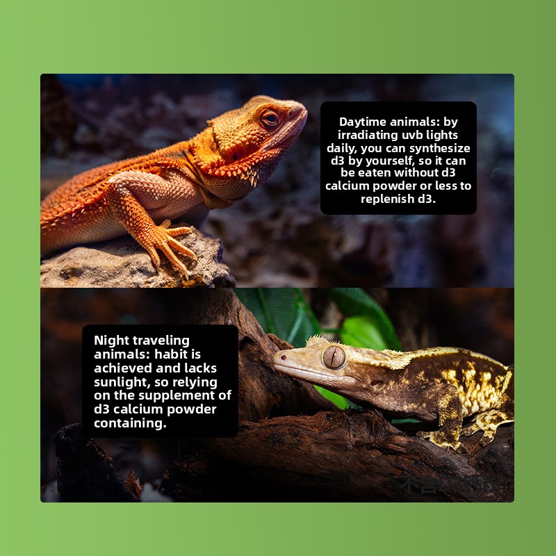 Reptizoo Reptile Calcium Powde - Vitamin D3 Reptile บทวิจารณ์และราคา