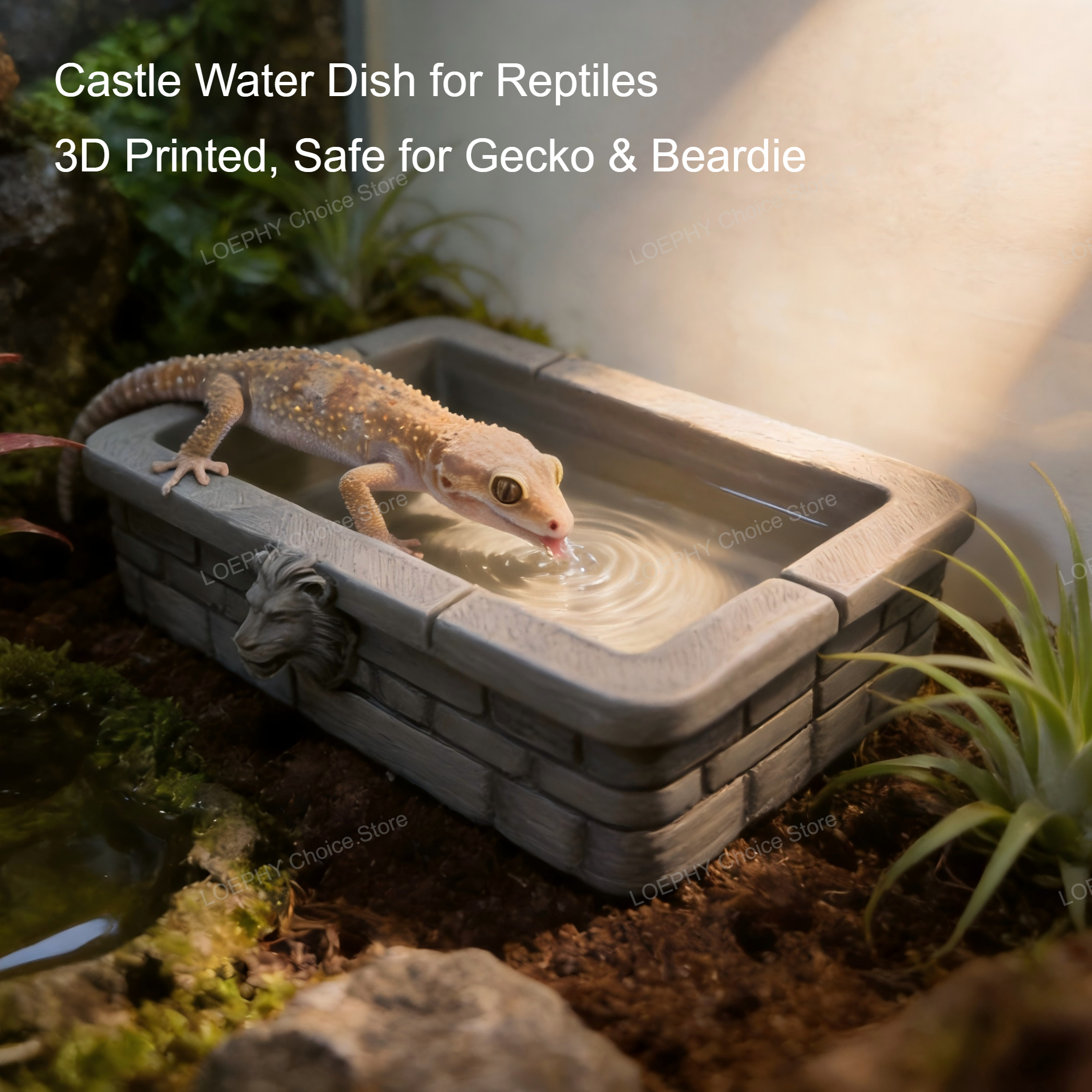 Reptile Water Bowl 3D Printed  - Water Dish Reptile บทวิจารณ์และราคา