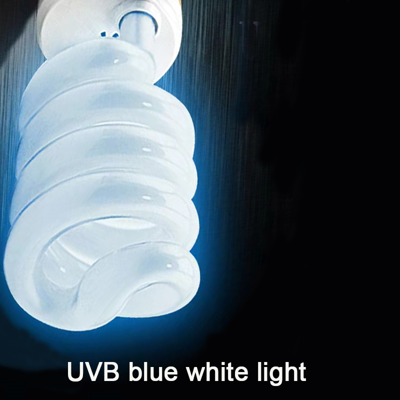 E27 13W/26W Reptile Uvb Lamp   - Calcium Powder Reptile บทวิจารณ์และราคา