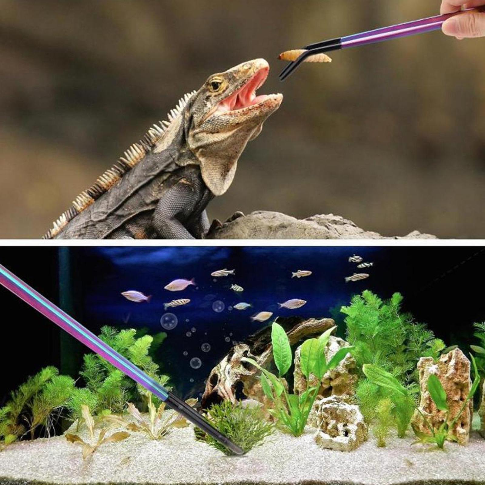 Reptile Feeder Tongs Soft Sili - Feeding Tong Stainless บทวิจารณ์และราคา