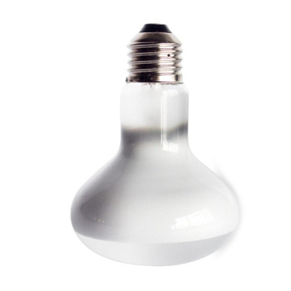 Turtle Temperature Controller  - Basking Bulb Halogen บทวิจารณ์และราคา