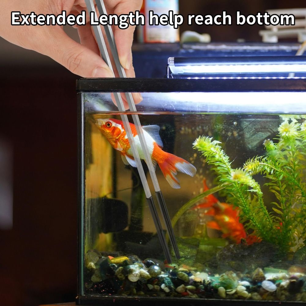 Stainless Steel Aquarium Feedi - Feeding Tong Stainless บทวิจารณ์และราคา