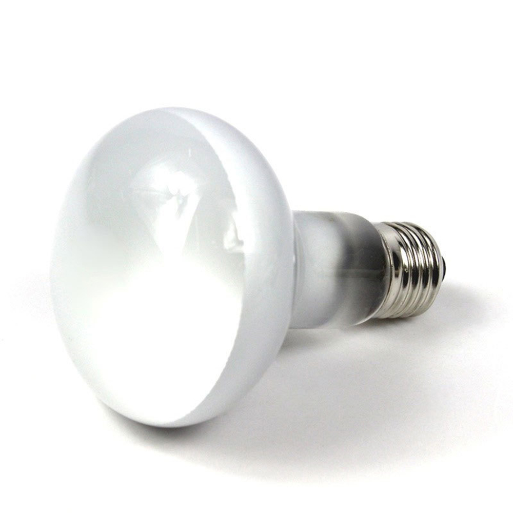 Lizard Heater Temperature Cont - Basking Bulb Halogen บทวิจารณ์และราคา