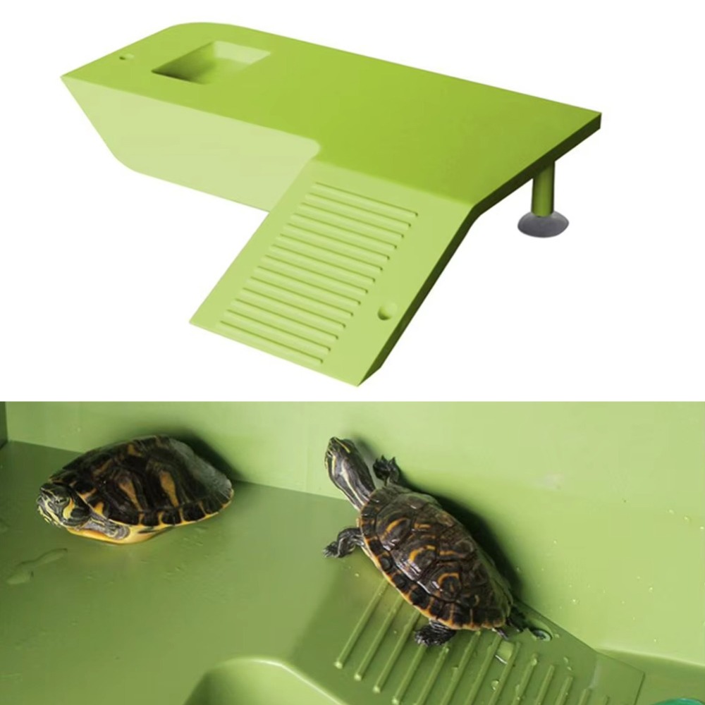 Water Land Slope Box Feeding C - Water Dish Reptile บทวิจารณ์และราคา