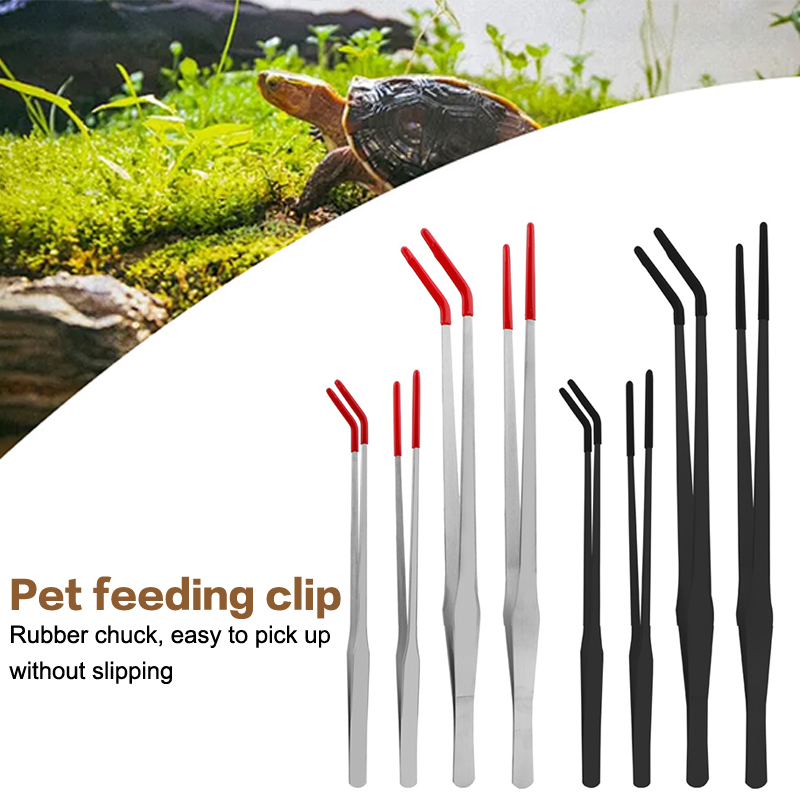 Stainless Steel Reptile Feedin - Feeding Tong Stainless บทวิจารณ์และราคา