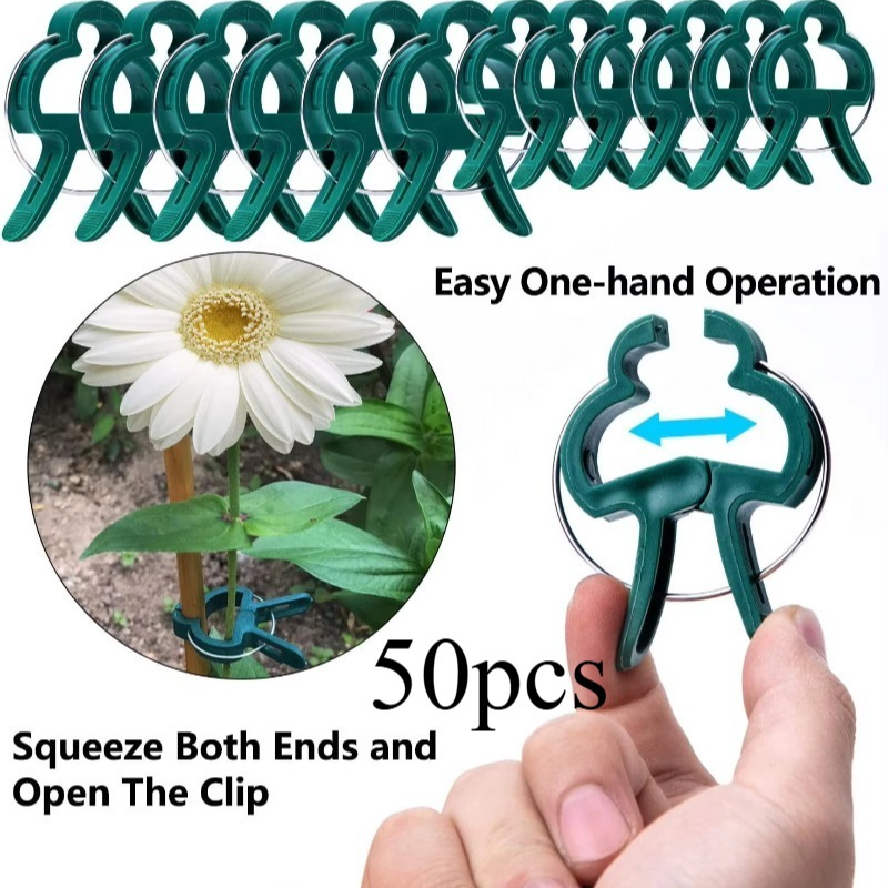 50 Reusable Plant Fixed Clips, - Vine Climbing Plastic บทวิจารณ์และราคา