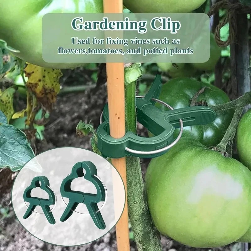50 Reusable Plant Fixed Clips, - Vine Climbing Plastic บทวิจารณ์และราคา