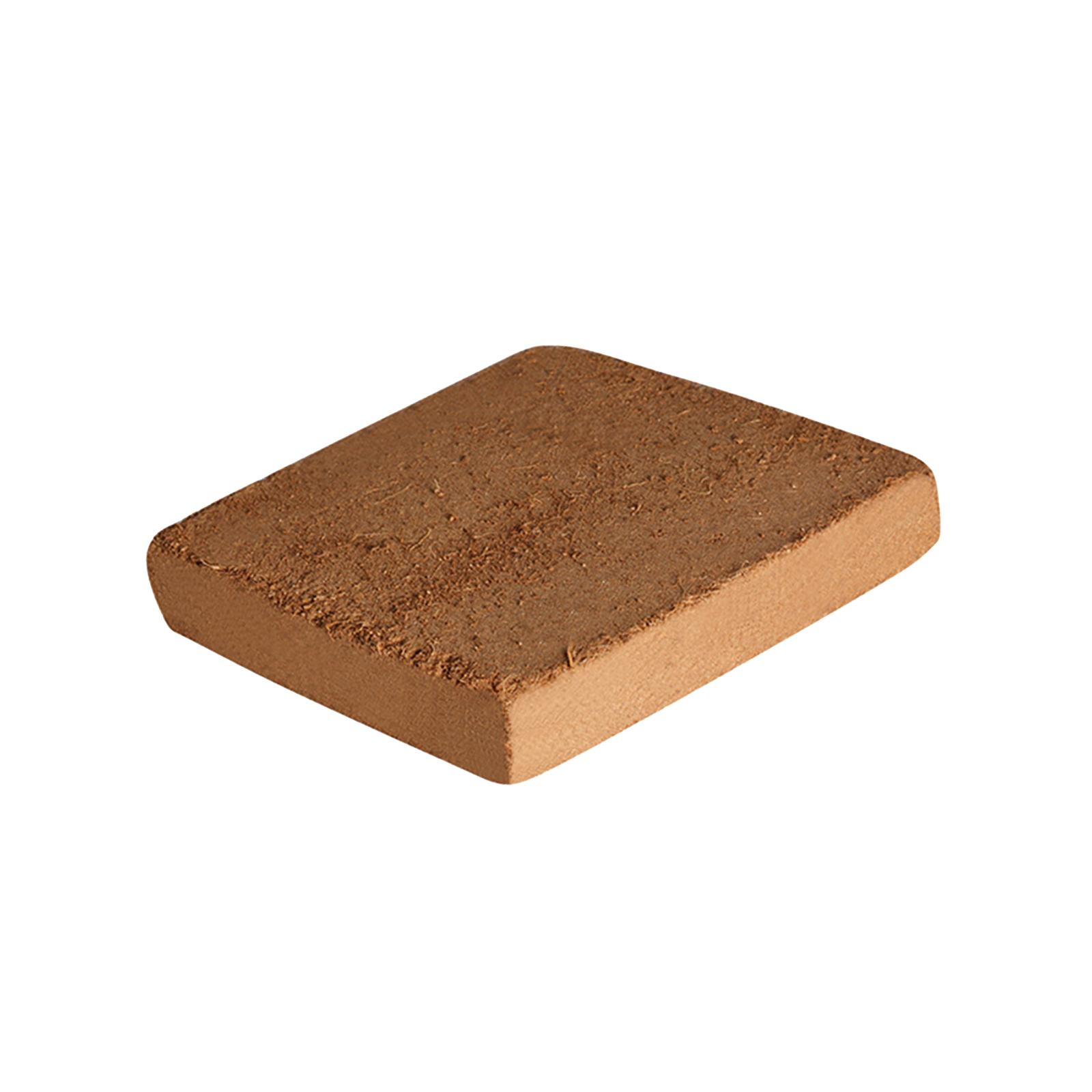 Soil Coconut Fibre Terrarium S - Substrate Coconut Fiber บทวิจารณ์และราคา