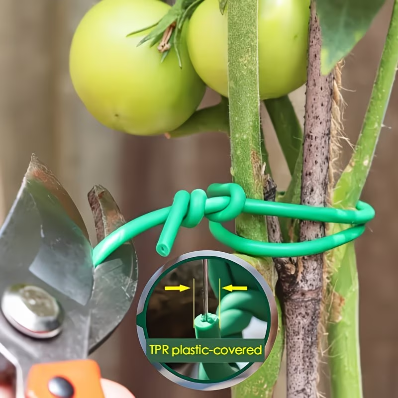 1Roll Heavy-Duty Garden Cable  - Vine Climbing Plastic บทวิจารณ์และราคา