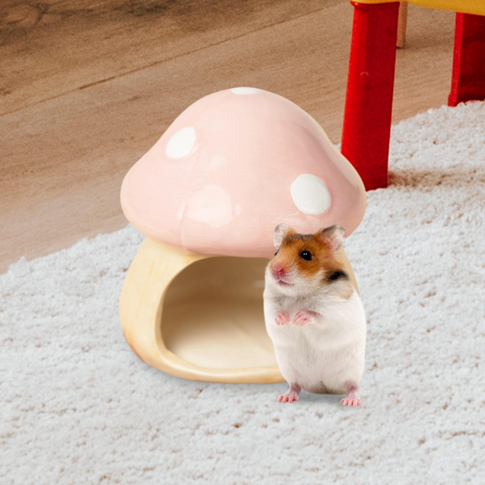 Ceramic Mushroom Hamster Hideo - Hide Cave Ceramic บทวิจารณ์และราคา