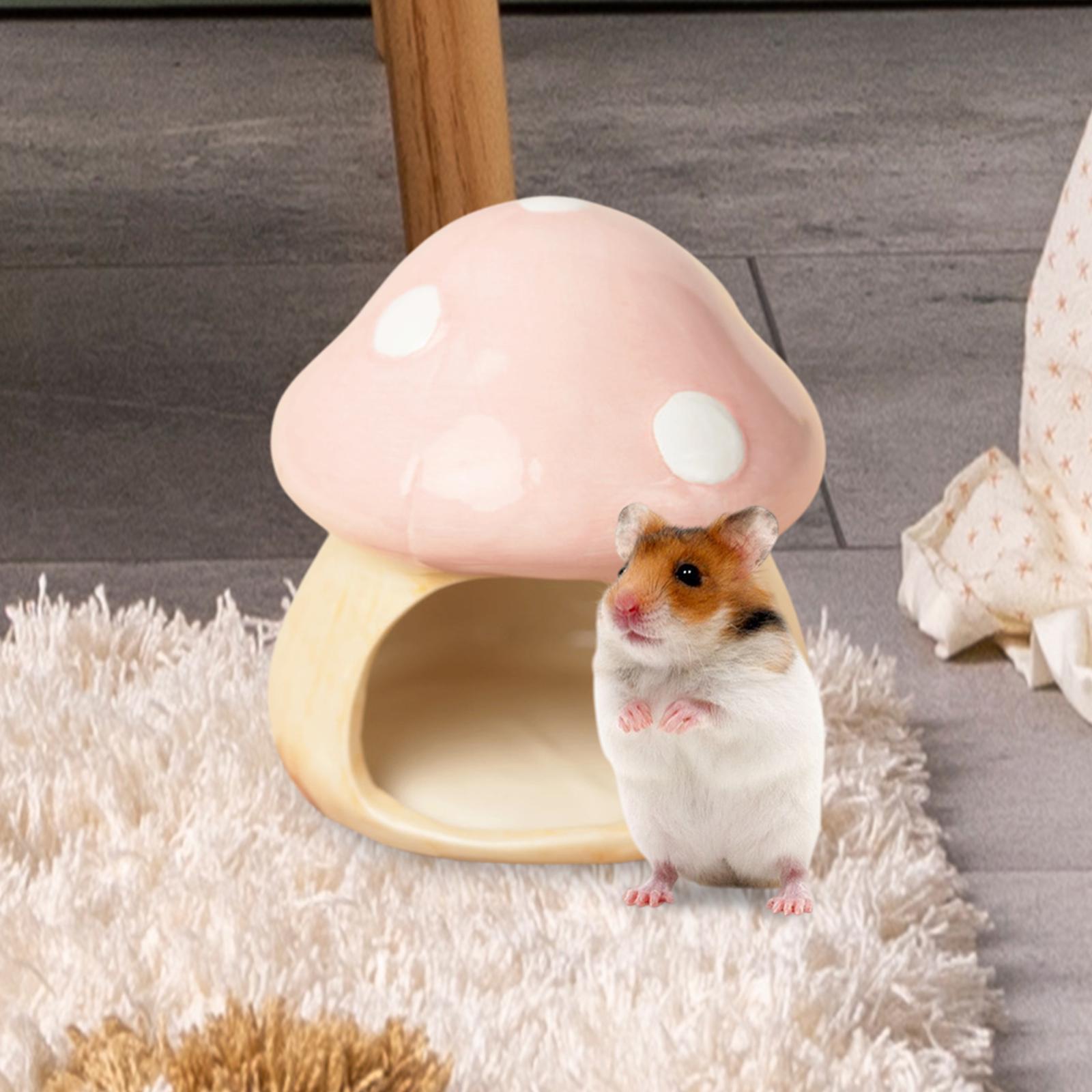 Ceramic Mushroom Hamster Hideo - Hide Cave Ceramic บทวิจารณ์และราคา