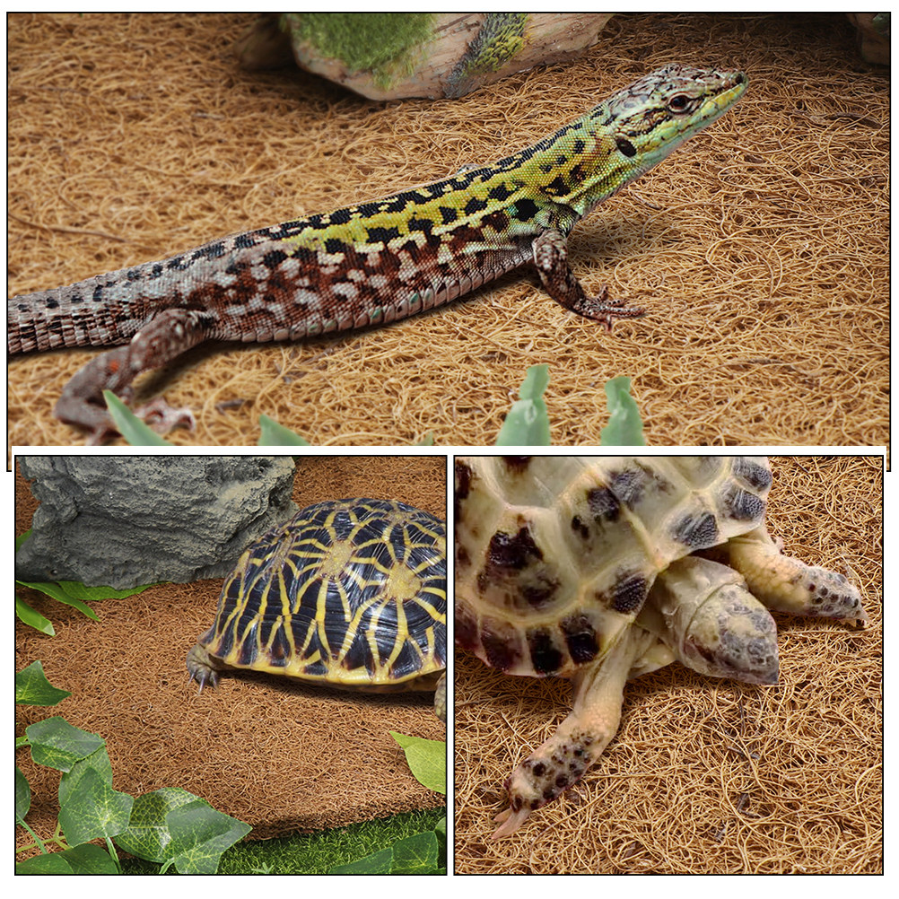 Reptile Terrarium Carpet Natur - Substrate Coconut Fiber บทวิจารณ์และราคา